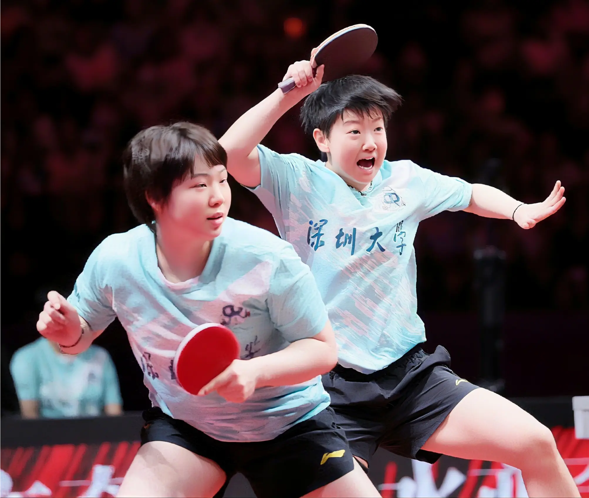 陈幸同和蒯, amp 陈幸同和蒯, amp