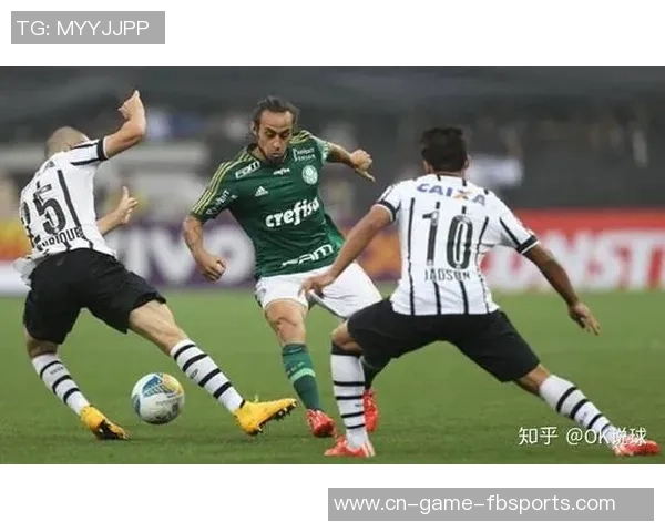 帕尔梅拉斯与科洛科洛对决分析及笔者推荐策略分享